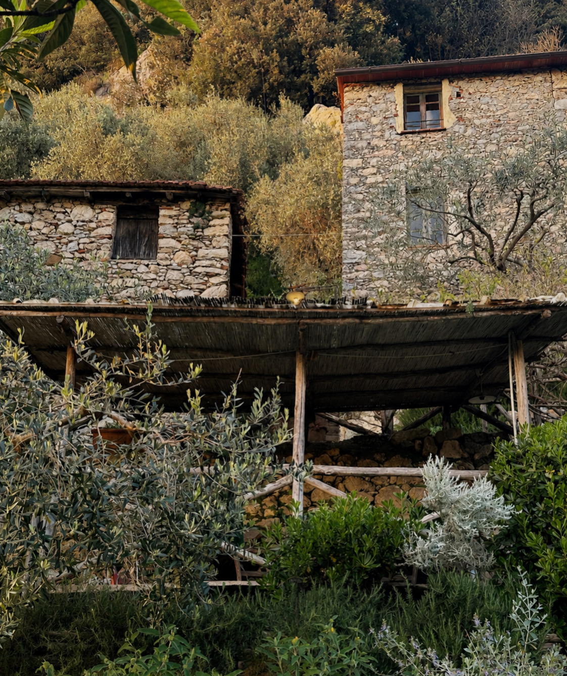La Margina — CAMAIORE, VERSILIA